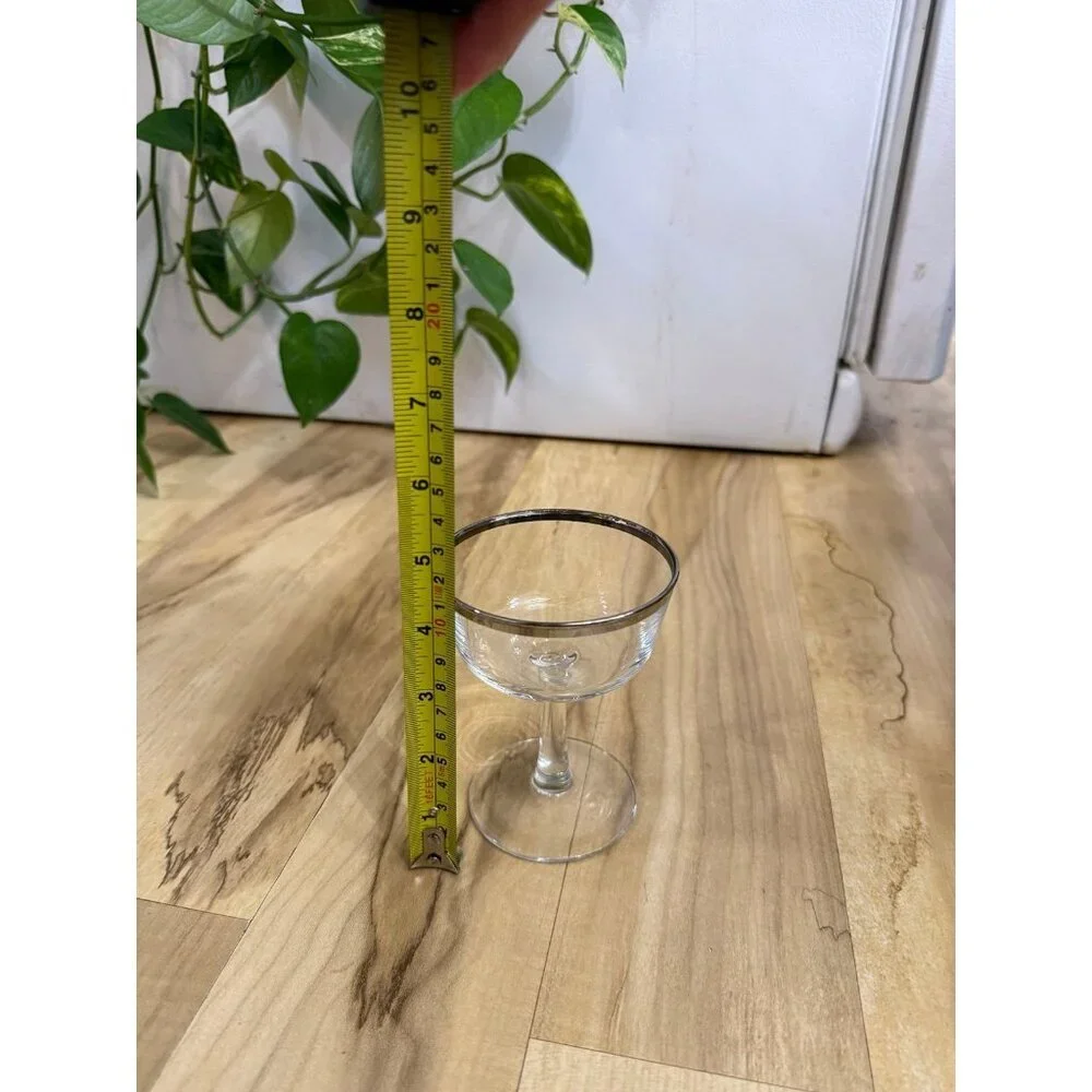 Vintage Coupe Glass with Silver Rim